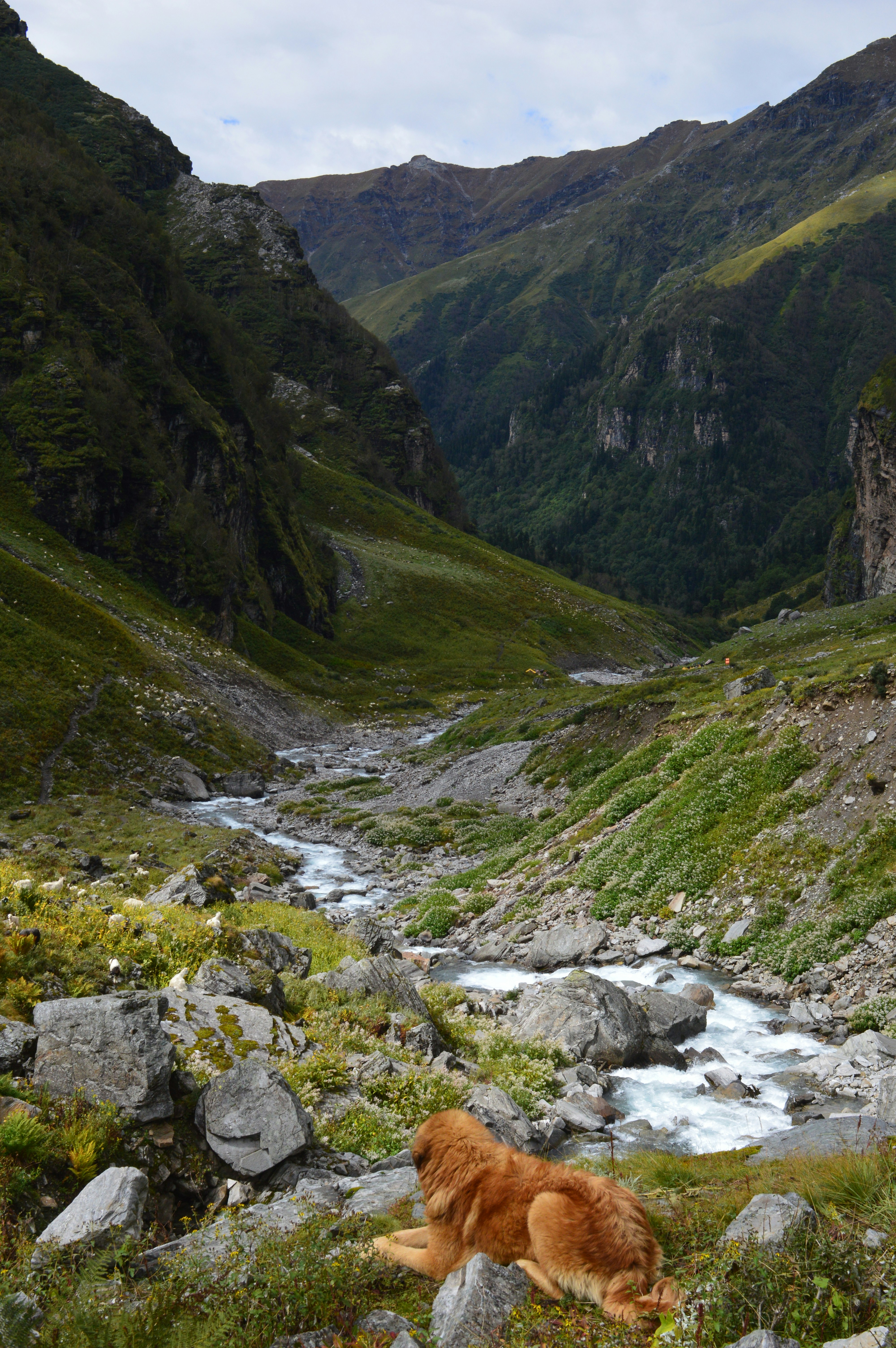 5000m Trek